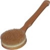 Dry Lymphatic Body Brushes - CASE OF 12 BRUSHES $9.99 EACH / SAVE 60% on 12 brushes 
